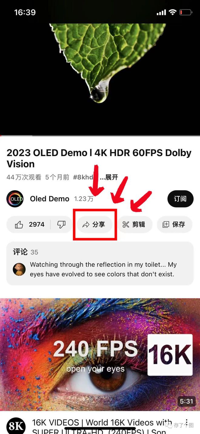 苹果手机怎么登陆youtube-苹果手机怎么登陆youtube账号