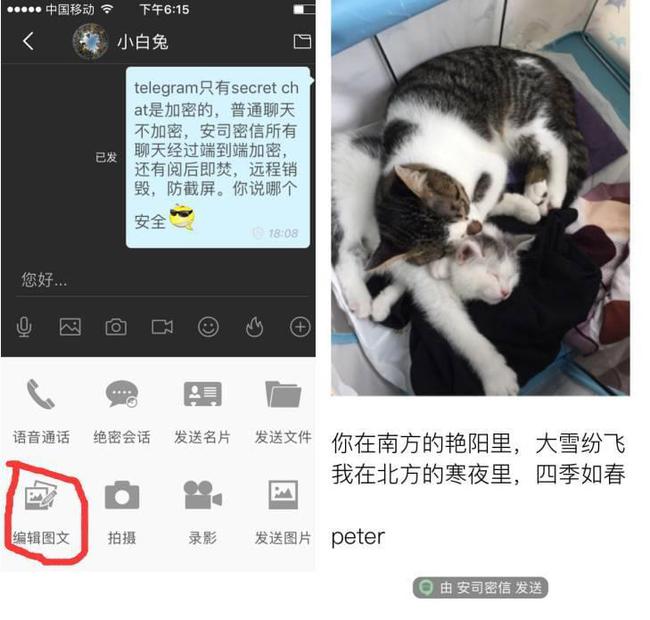 telegraph聊天软件-telegraph聊天软件官网