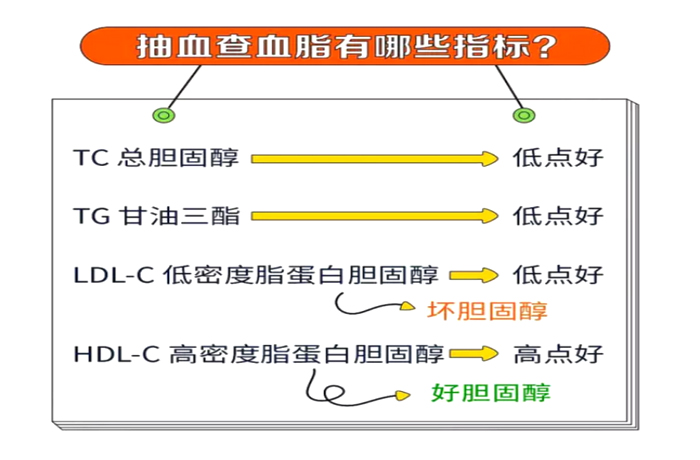 详细阅读:TG升高的临床意义的简单介绍 TG升高的临床意义的简单介绍