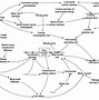 opyn发币了吗-optimism发币
