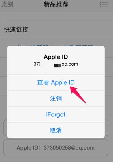 appleid在哪里查看-appleid账号在哪里看