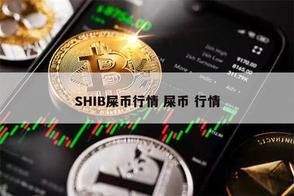 数字币shib-数字币是比特币吗
