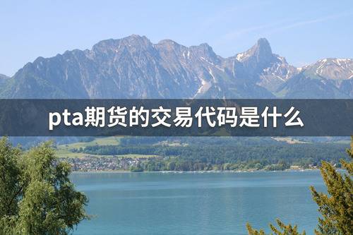 pta怎么不能交易-pta为什么交易不了