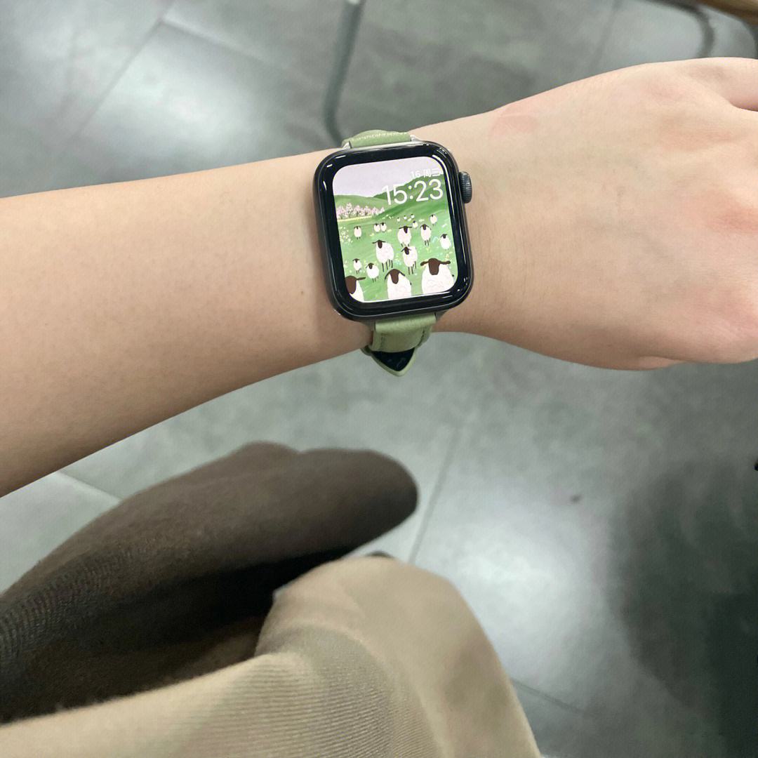 applewatchse-applewatchse和s9区别