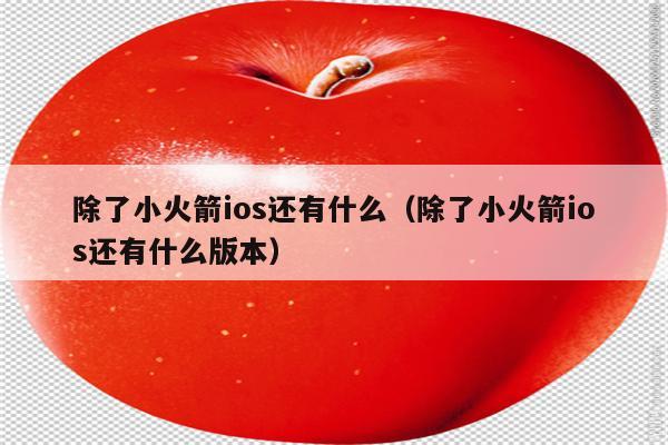 包含IOS免费梯子加速器的词条