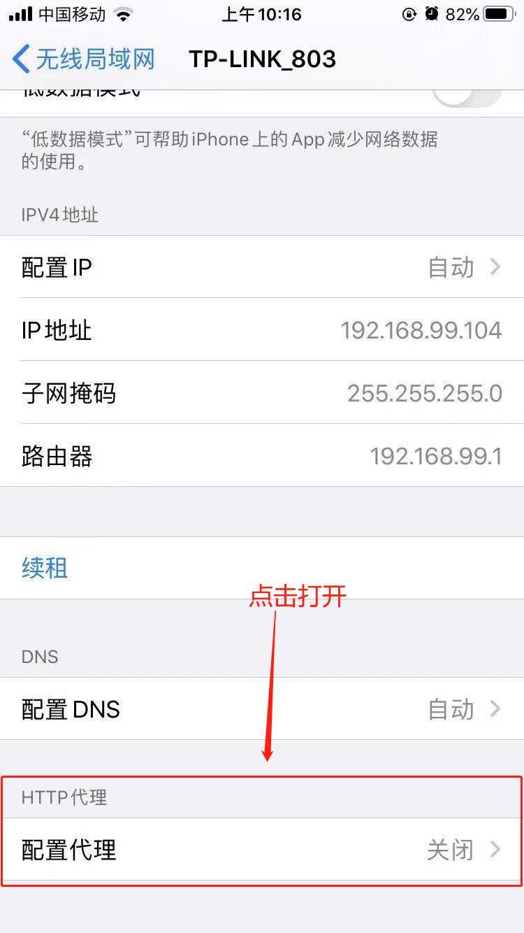 苹果纸飞机免费代理ip-苹果纸飞机设置中文版最新版