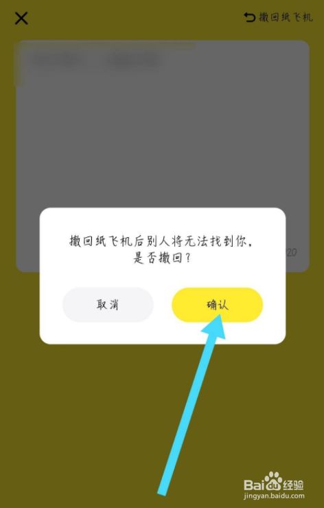 纸飞机软件在国内不能用吗-纸飞机软件在国内不能用吗怎么办