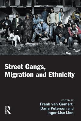 ethnicity-ethnicity中国人怎么填