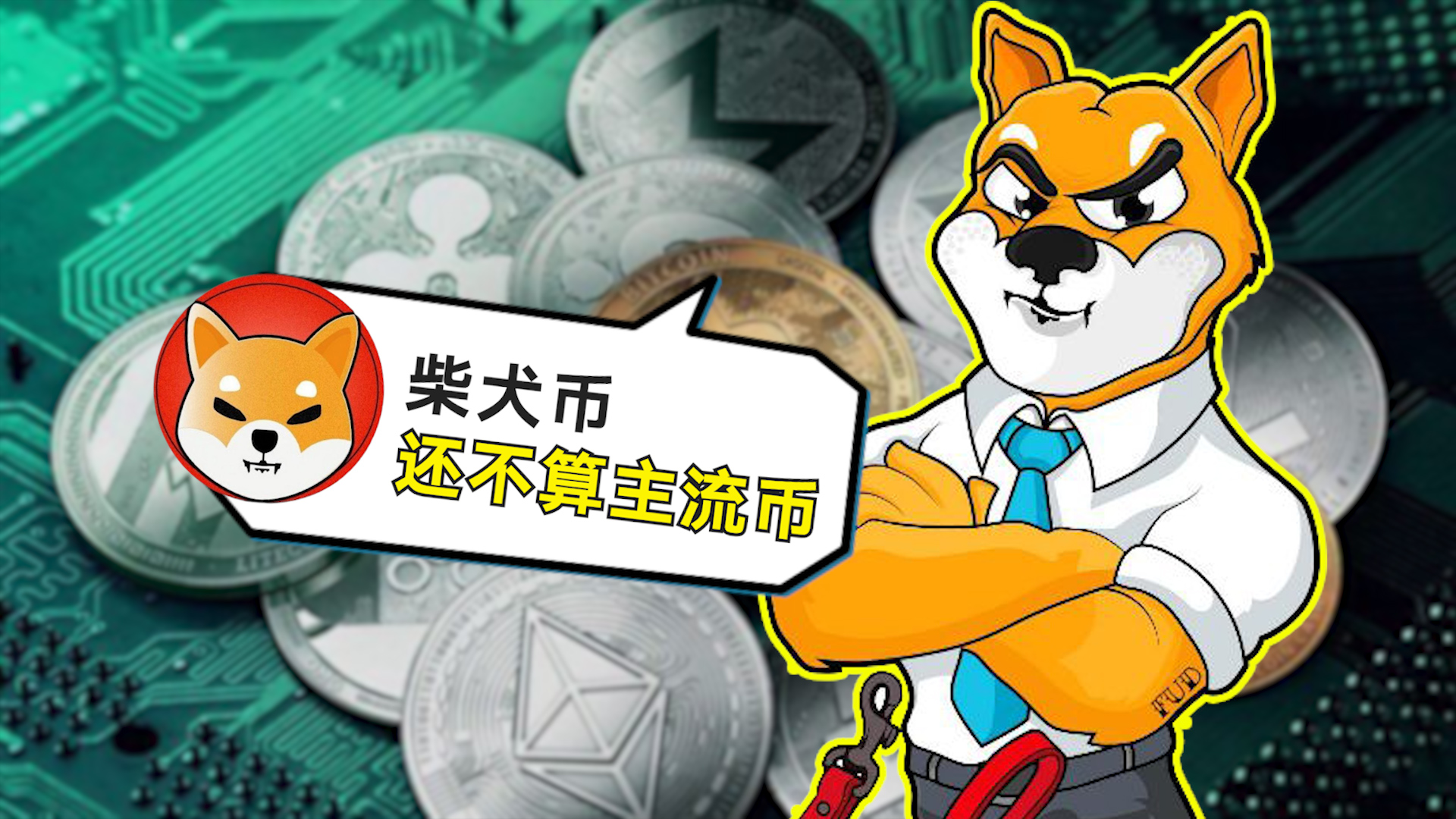 币圈最新消息狗狗币-狗狗币币价格今日行情