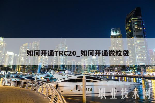 usdttrc203-usdttrc20钱包