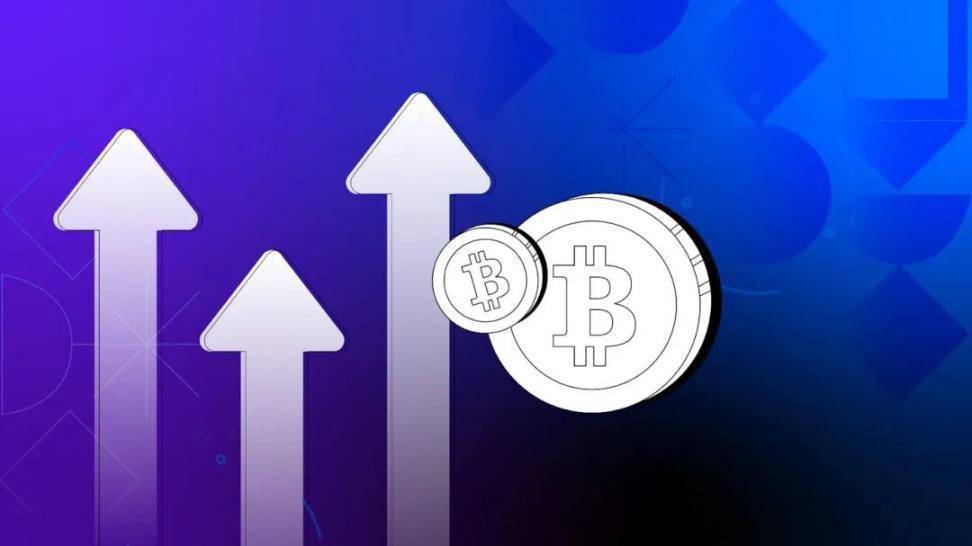 加密货币数字钱包排名-数字货币加密技术最牛公司