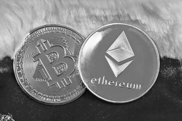 冷钱包tokenpocket的简单介绍