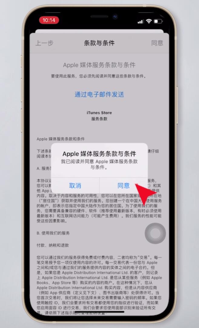 纸飞机苹果版怎么更换中文-纸飞机中文版怎么设置汉化苹果手机