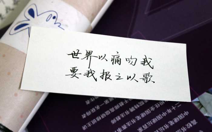 纸飞机短句-纸飞机的经典语录