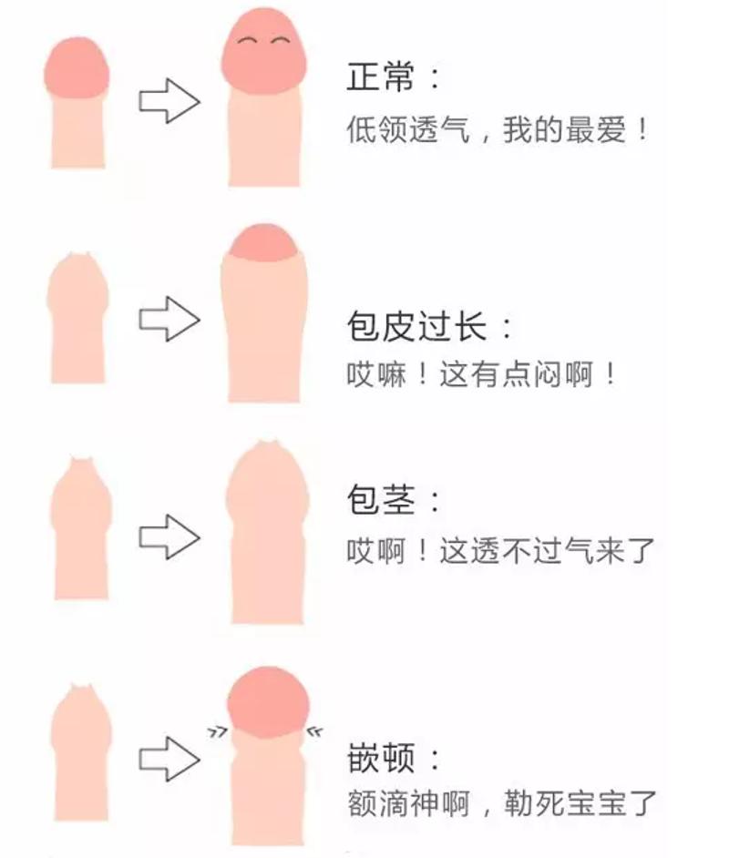 包含tp钱包怎么样布置隐匿状态的词条