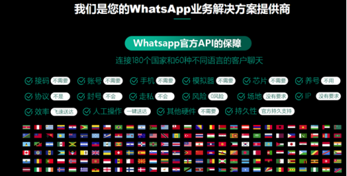 WhatsApp官网网址-whatsappbusiness官网