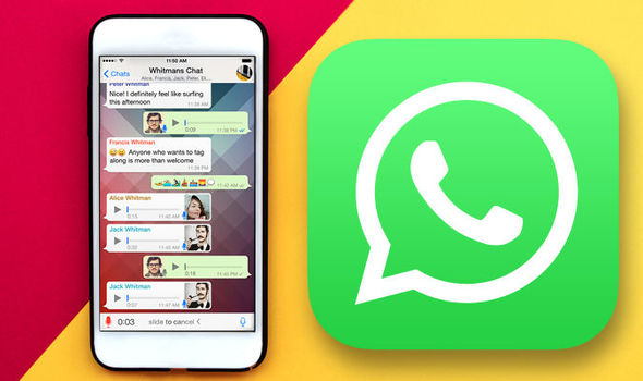 whatsappbusiness最新下载-whatsappbusiness安卓版下载