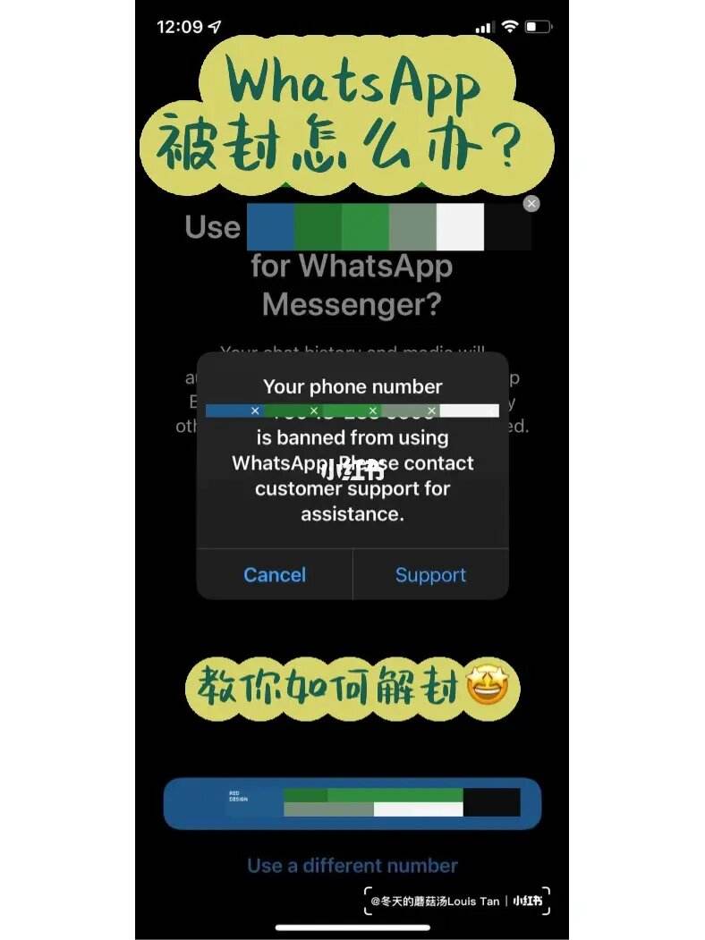 whatsapp官方网站申诉解封-whatsapp申诉不给解封怎么办