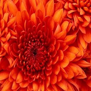 免费加速器ios下载安卓版苹果可以用吗-免费加速器ios下载安卓版苹果可以用吗安全吗
