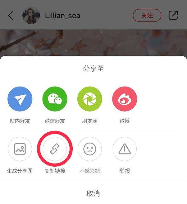 whatsapp图片怎么保存到相册-whatsapp怎么保存别人发给我的视频