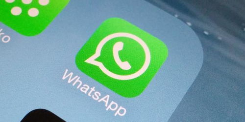 whatsapp下载安卓最新-whatsapp最新安卓下载安装