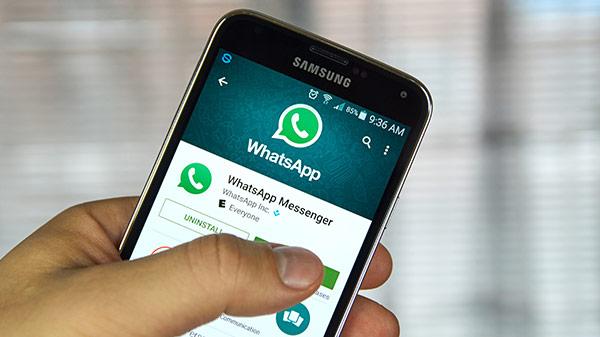 电脑端whatsapp添加好友-电脑版whatsapp怎么添加好友