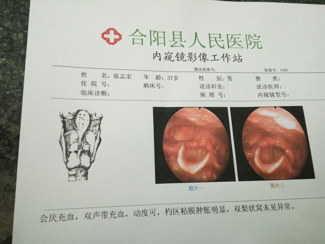 耳朵里有发电报的声音怎么回事-耳朵里有发电报的声音怎么回事啊