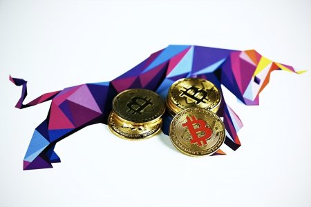 fitfi币今日行情-pi币最新官方消息2024