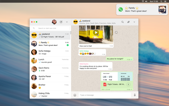 whatsapp安卓手机下载2020-whatsapp安卓手机版下载v22020624免费下载