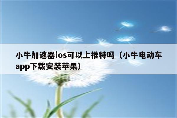 小牛加速器安卓版-小牛加速器安卓版v3110