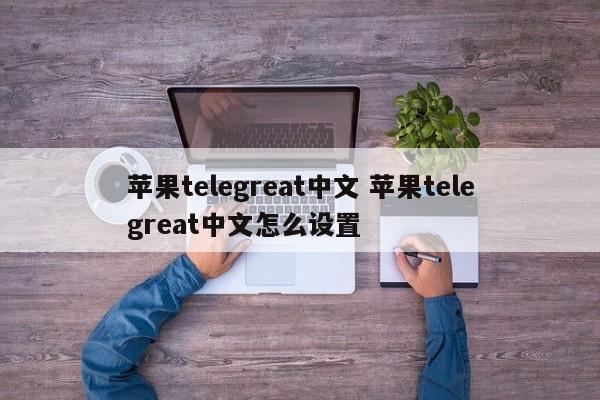 苹果手机纸飞机怎么设置中文版-苹果手机的纸飞机怎么设置中文版