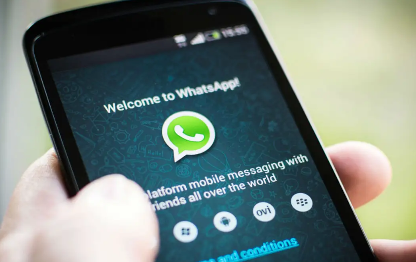 whatsapp哪个国家-whatsapp哪个国家用得最多