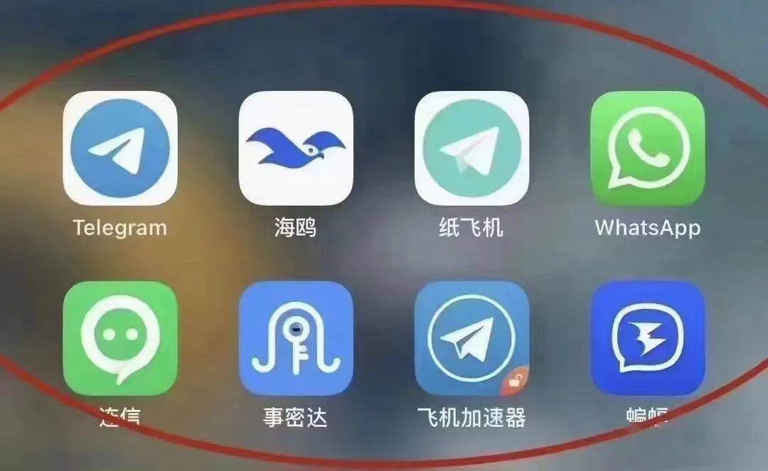包含纸飞机telegeram官网版下载的地址是什么的词条