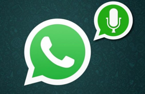 whatsapp怎么读语音-whatsapp语音怎么翻译