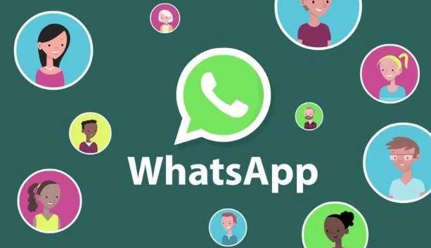 whatsapp方法添加好友-whatsapp怎么添加好友有号码