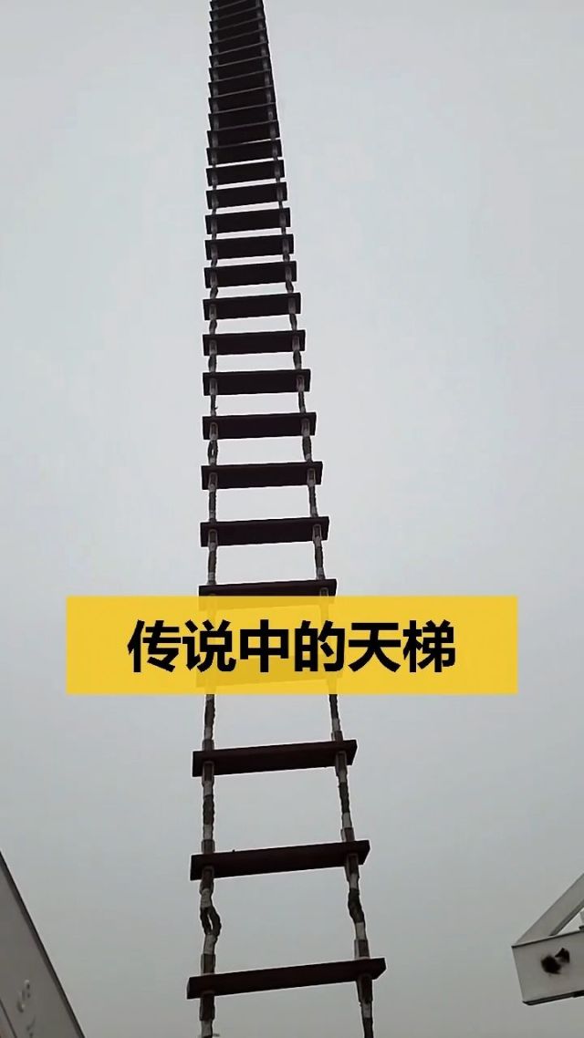贴吧梯子，梯子百度贴吧