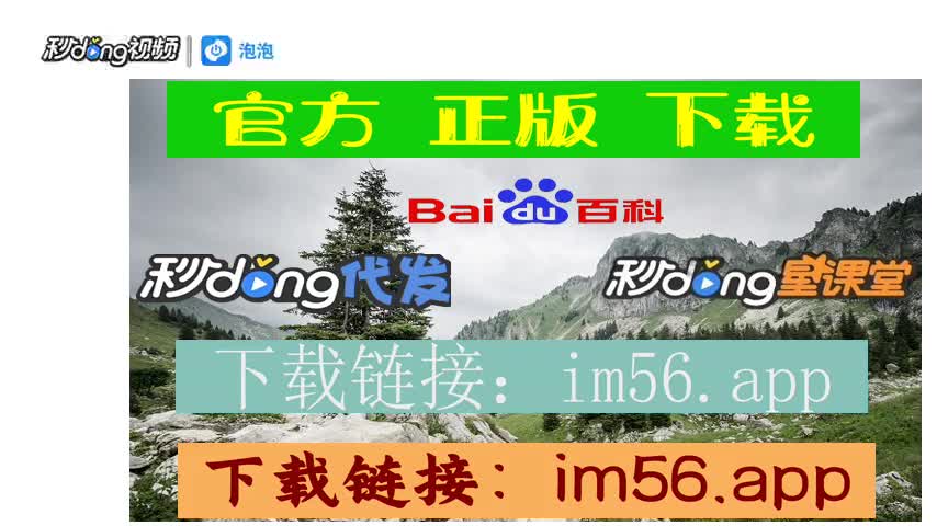 im官网下载，setim官网下载