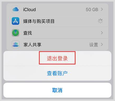 iphone下载了skype登陆不上怎么办，skype苹果版下载不了只能下载business
