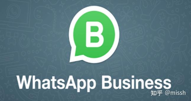 whatsapp安卓下载地址，whatsapp安卓下载安装最新