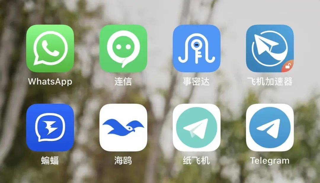 whatsapp最新版本下载2024，whatsapp最新版本下载2024苹果