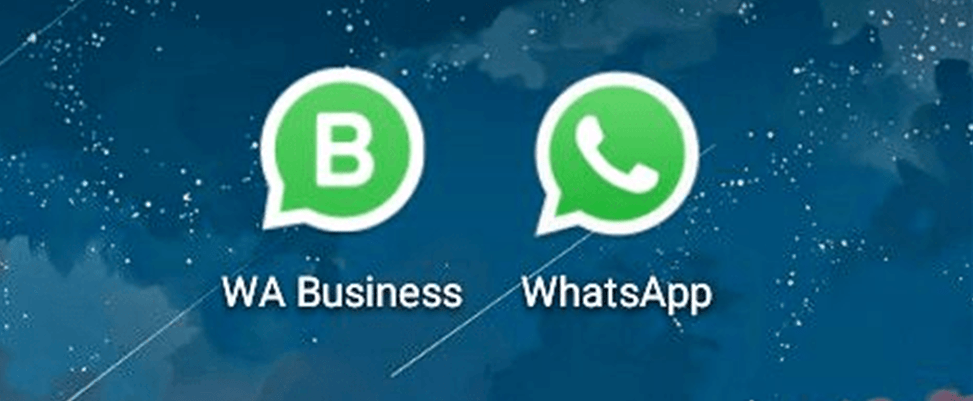 whatsappbusiness官网，whatsappbusiness官网下载