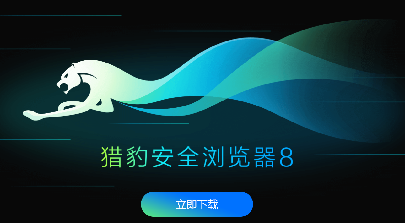 猎豹加速器官网app，猎豹加速器官网APP下载