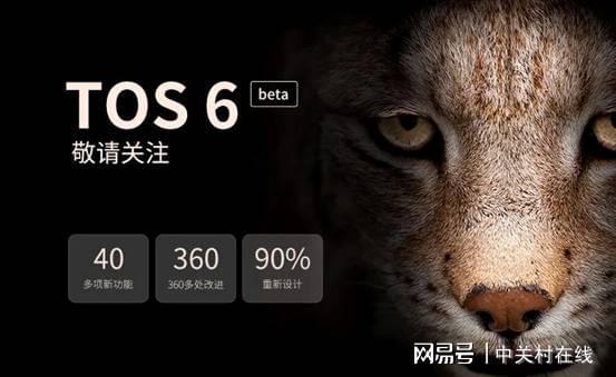 token.im.tos，tiktok国际版网页入口