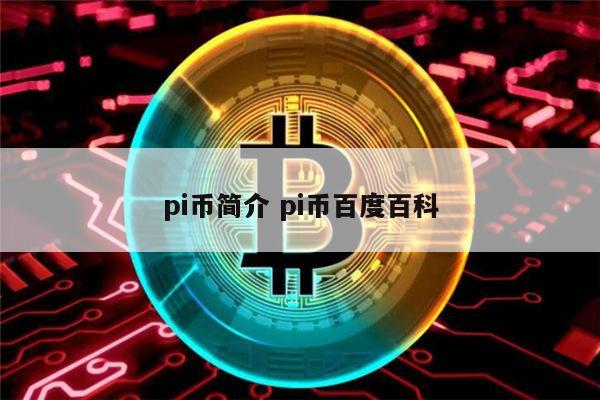pi币是什么鬼，pi币什么意思?