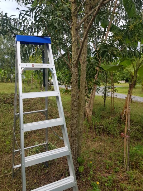 每天免费2小时加速器梯子，每天免费2小时加速器梯子不看广告