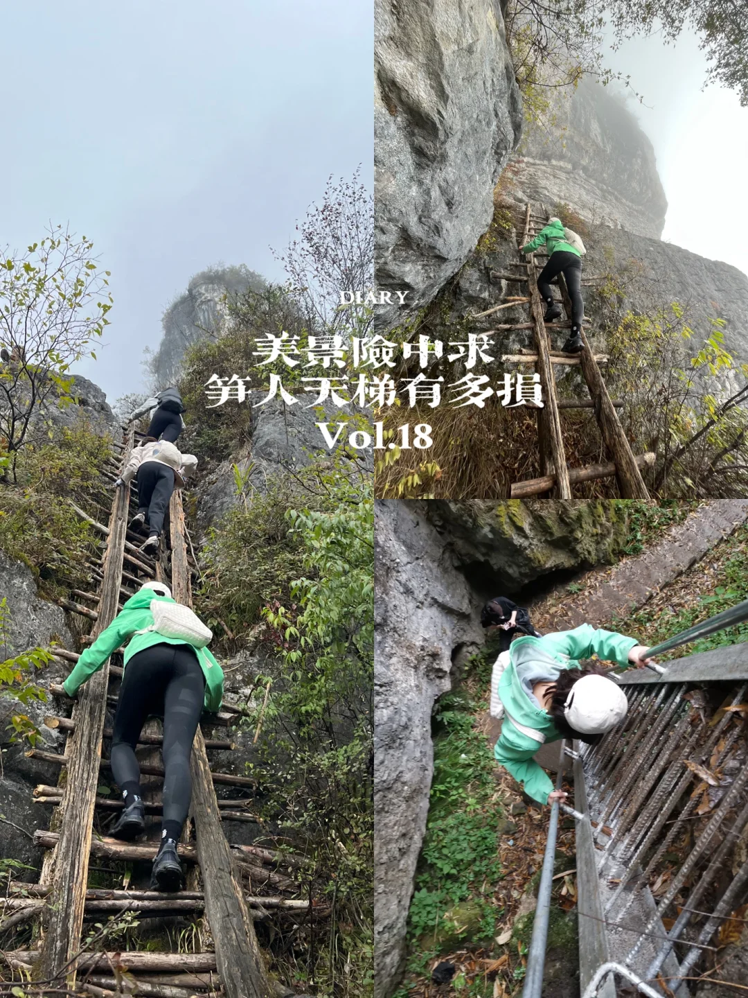 求个梯子，求一个梯子软件