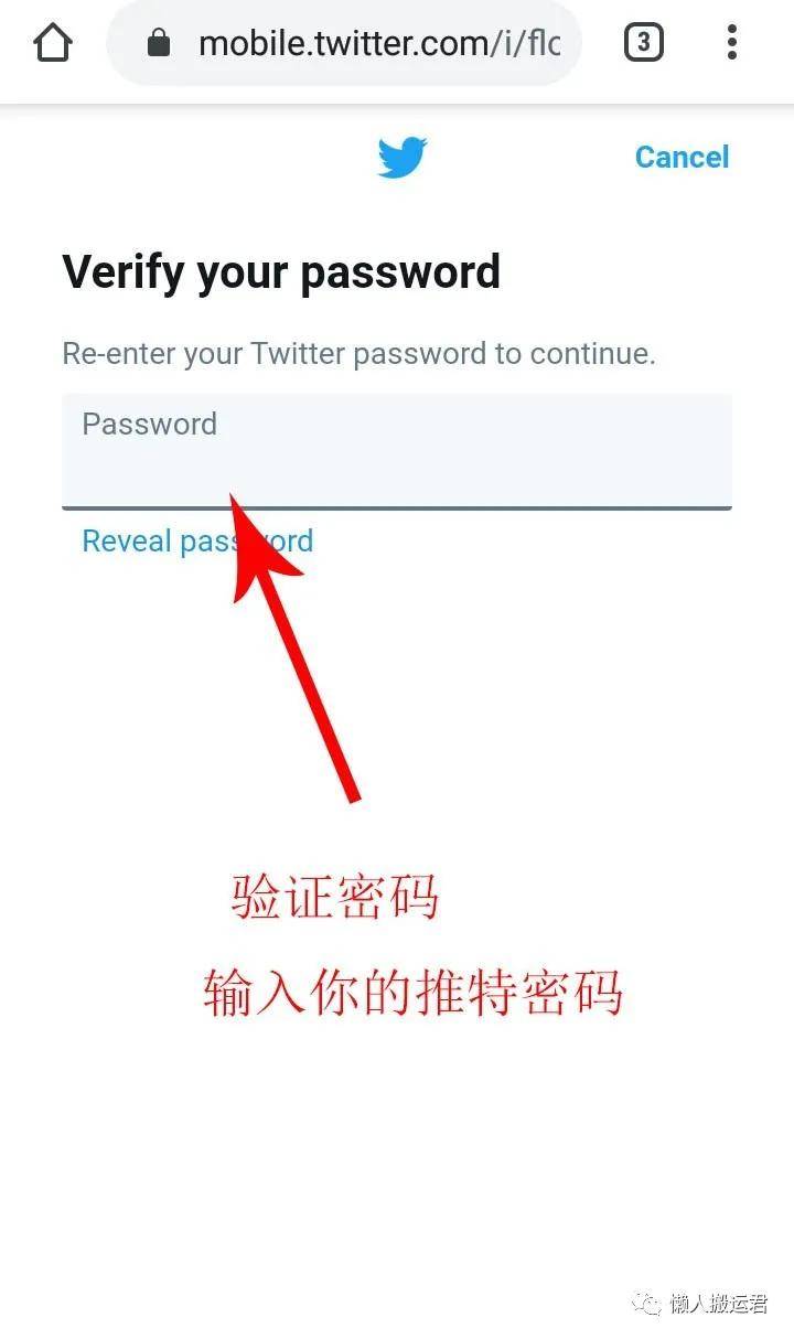国内怎么下载推特苹果，国内iphone下载推特