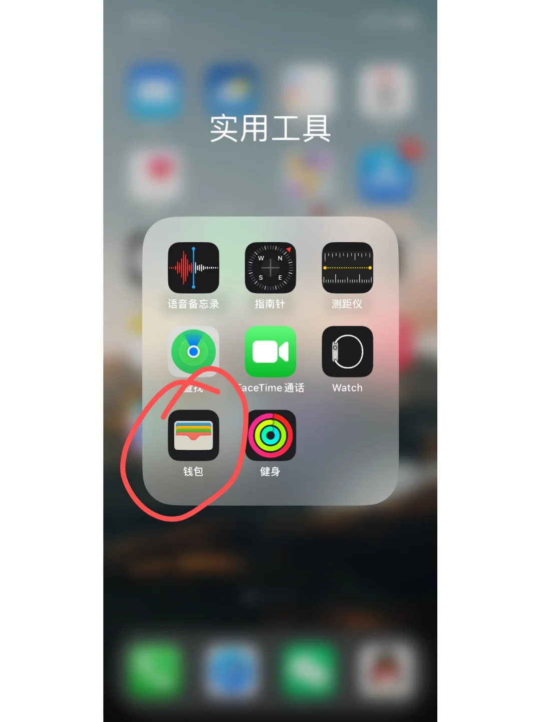 苹果手机钱包怎么下载不了，苹果手机钱包怎么下载不了了
