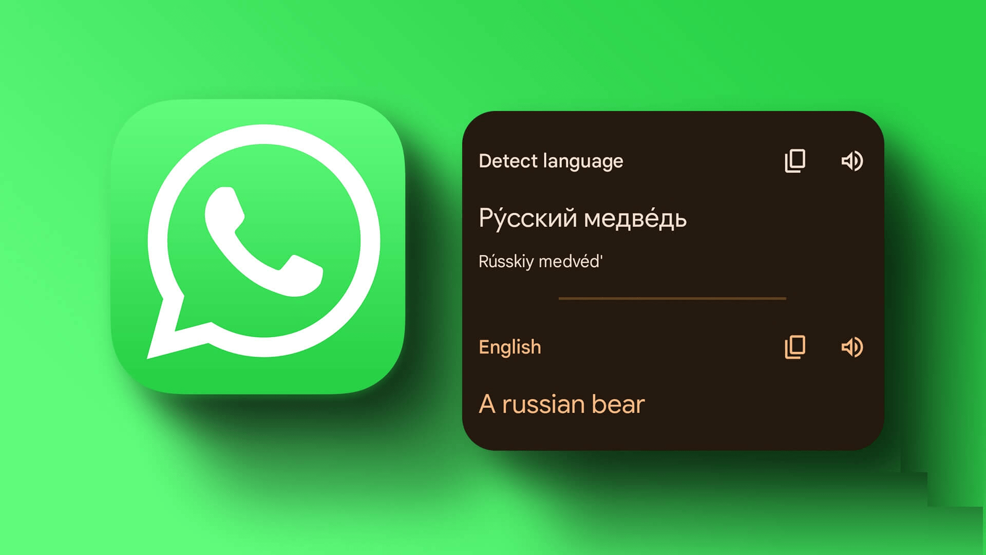 whatsapp发不了信息，whatsapp不能发送图片和文件怎么办