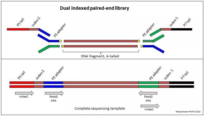 truseq，TruSeqTM DNA Sample Prep Kit